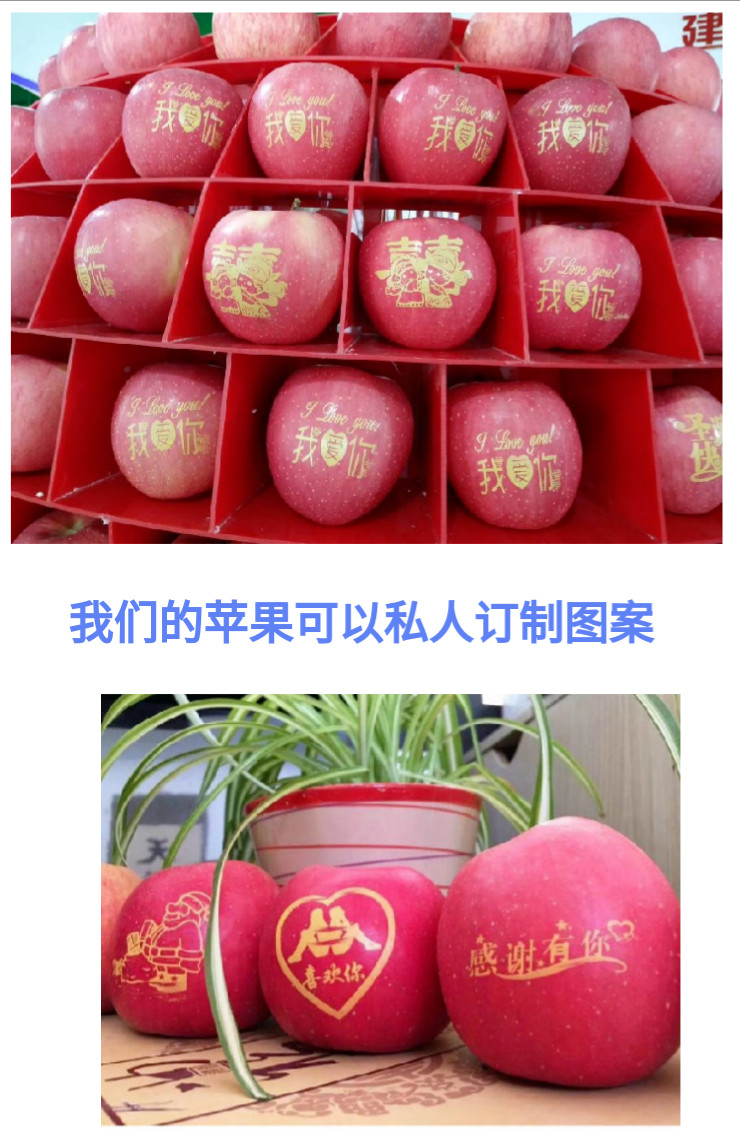 山东栖霞红富士苹果（自家果园）直径90mm 12个装